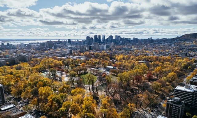 Aerial view of downtown Montreal and autumn trees in park under cloudy sky. g.