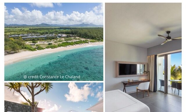 @ credit Constance Le Chaland
