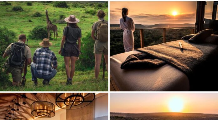 Shamwari Private Game Reserve @ credit Kerzner