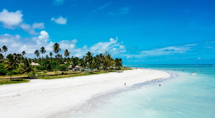 Zanzibar @ credit MGM Muthu Hotels
