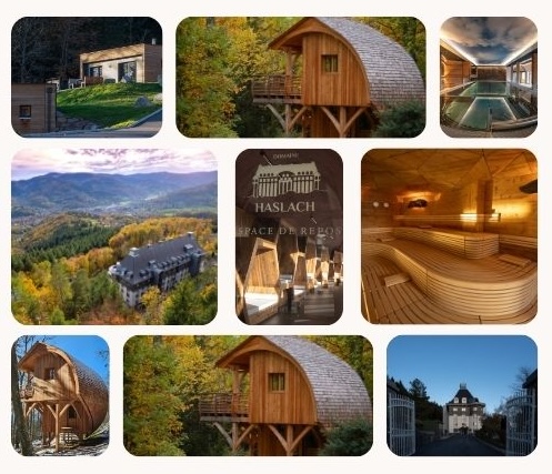 @ credit Domaine de Haslach, The Originals Collection****