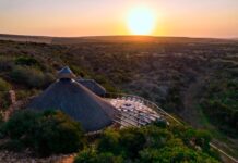 Afrique du Sud | Kerzner International intègre Shamwari Private Game Reserve à sa marque Rare Finds Lodge - Riverdene - Aerial Sunset -