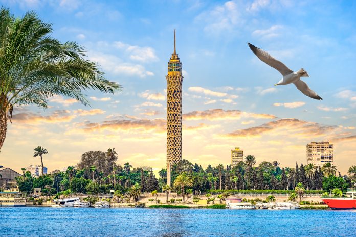 Seagull over river Nile in Cairo and famous TV Tower, Egypt