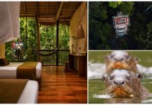 Pérou | Kuaii Amazonas, un nouvel écolodge communautaire ouvrira en 2027 au cœur de l’Amazonie péruvienne @ credit Kuaii Amazonas