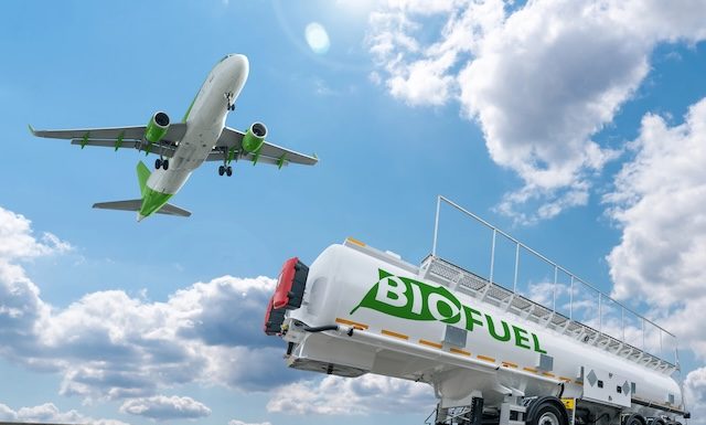 Airplane and biofuel tank. Decarbonization concept