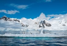 États-Unis | Lindblad Expeditions acquiert White Desert et lance Echo Charlie, nouvelle marque d’aviation d’aventure Antarctique illustration @ credit Depositphotos.com