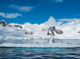États-Unis | Lindblad Expeditions acquiert White Desert et lance Echo Charlie, nouvelle marque d’aviation d’aventure Antarctique illustration @ credit Depositphotos.com