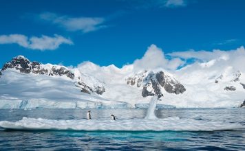 Antarctique illustration @ credit Depositphotos.com