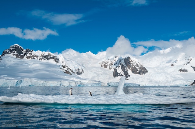 Antarctique illustration @ credit Depositphotos.com